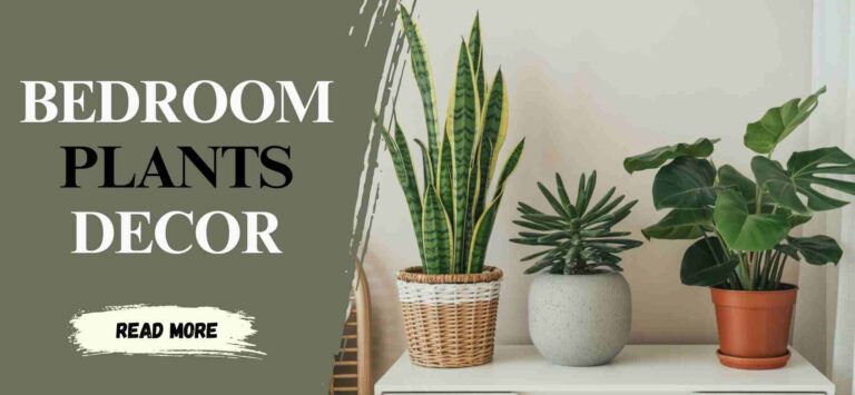 How to Choose the Best Bedroom Plants for Style and Air Quality