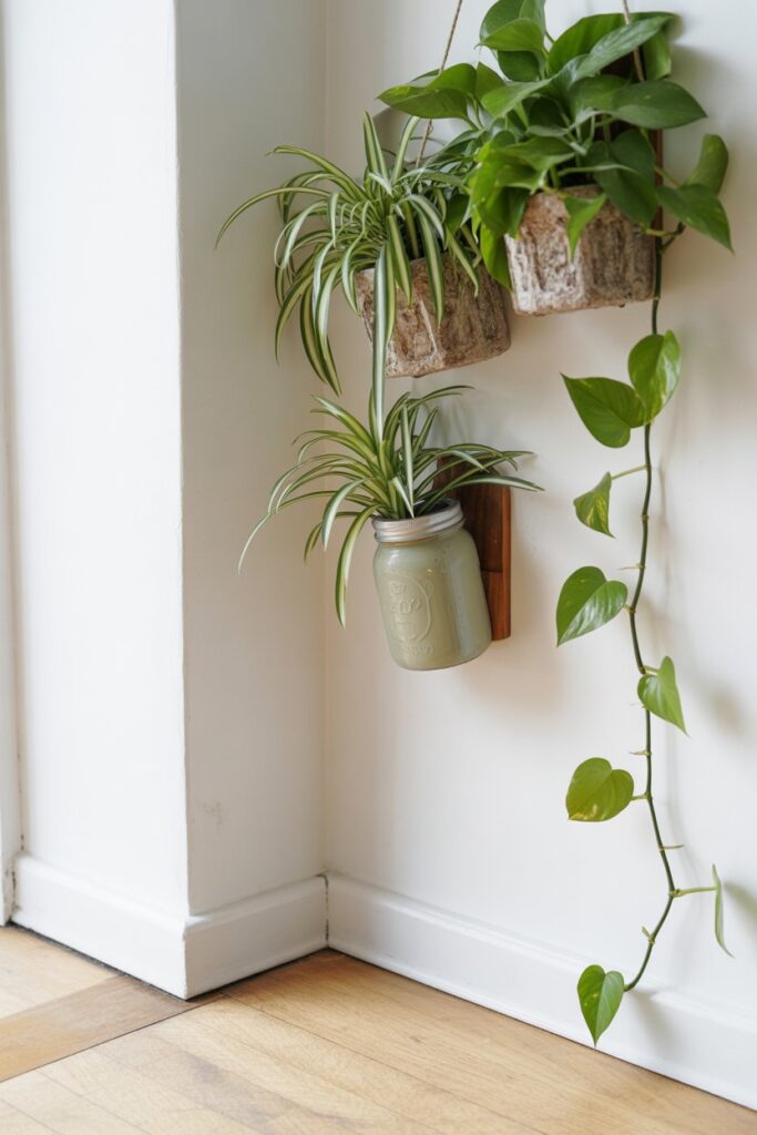 Wall-Mounted Plants for Natural Beauty